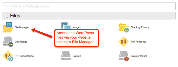 Access File Manager inside cPanel