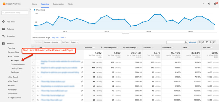 View All Page Visits in Google Analytics